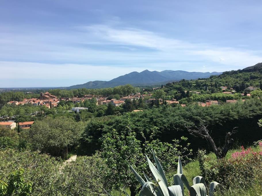 Au Coeur De Avec Terrasse Ceret